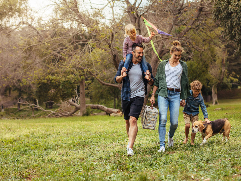 husband and wife with two children and a dog walking in a park to take a picnic